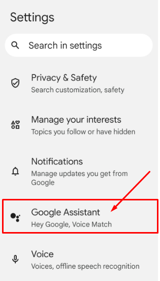 Google assistant option