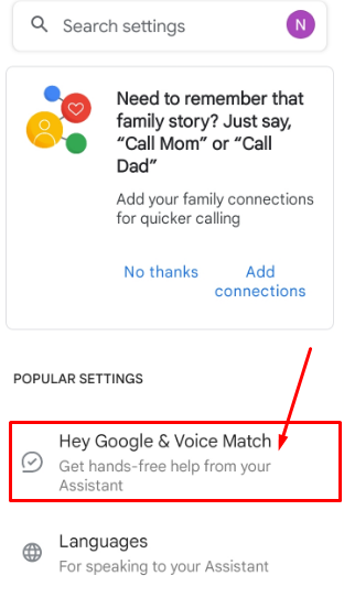Tap "Hey Google and Voice Match"