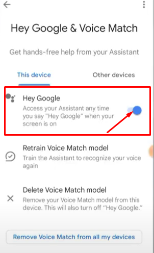 turn off the Google Assistant