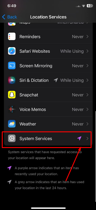 After swiping down, select System Services