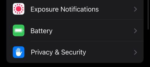 click on the “Privacy & Security” option