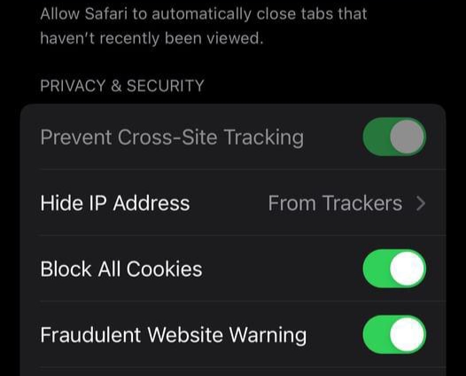  "Privacy & Security" settings of Safari, you have the option to enable "Block All Cookies." 